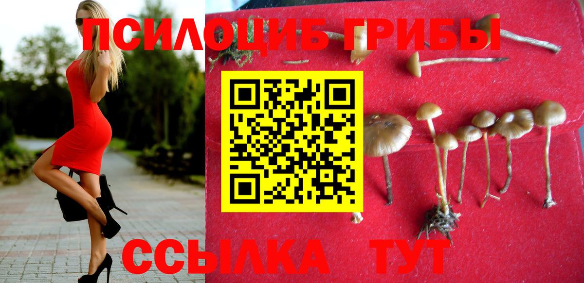 Псилоцибиновые грибы мицелий Карпинск
